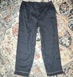 Pottery Barn Teen Harry Potter Pajama Pants L Blue/White Striped Cotton Elastic